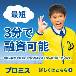 promise_banner